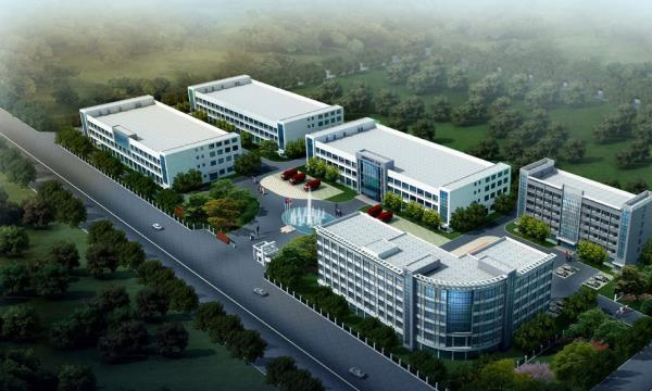 9170��ɳʮ�꣺���Թ��������¡���֡� ��������·��